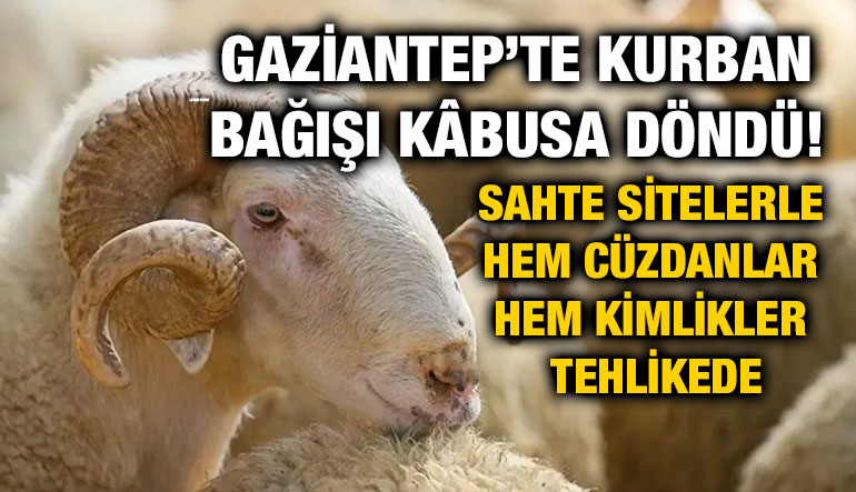 Gaziantep’te Kurban Bağışı Kâbusa Döndü! Sahte Sitelerle Hem Cüzdanlar Hem Kimlikler Tehlikede