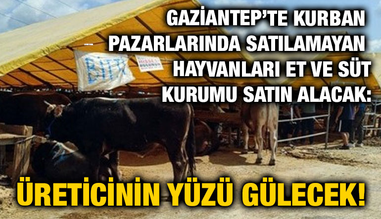 Gaziantep’te Kurban Pazarlarında Satılamayan Hayvanları Et ve Süt Kurumu Satın Alacak: Üreticinin Yüzü Gülecek!
