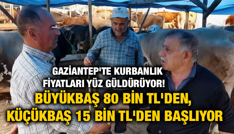 ​​​​​​​Gaziantep'te Kurbanlık Fiyatları Yüz Güldürüyor! Büyükbaş 80 Bin TL'den, Küçükbaş 15 Bin TL'den Başlıyor