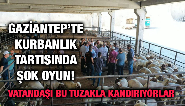 Gaziantep’te Kurbanlık Tartısında Şok Oyun! Vatandaşı Bu Tuzakla Kandırıyorlar