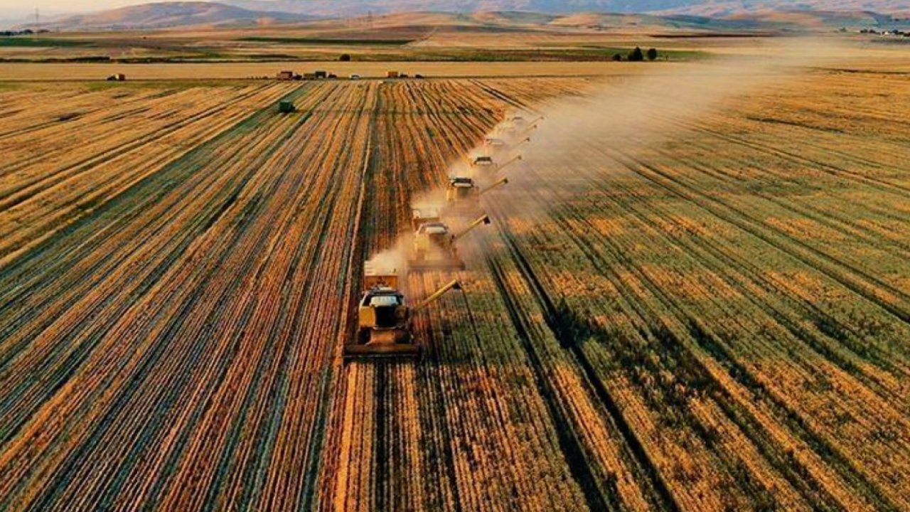 Gaziantep'te Çiftçilere TMO duyurusu: 'Ürününüzü Satmak İçin Bunu Yapmanız Zorunlu'