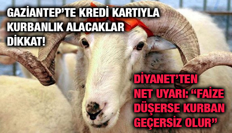 Gaziantep’te Kredi Kartıyla Kurbanlık Alacaklar Dikkat! Diyanet’ten Net Uyarı: “Faize Düşerse Kurban Geçersiz Olur”