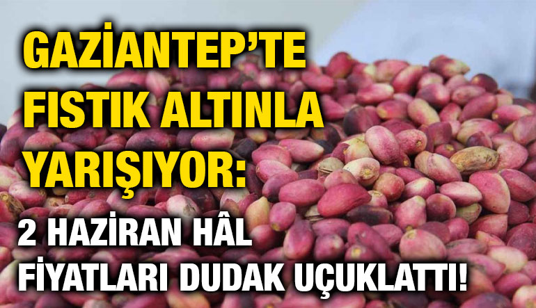 Gaziantep’te Fıstık Altınla Yarışıyor: 2 Haziran Hâl Fiyatları Dudak Uçuklattı!