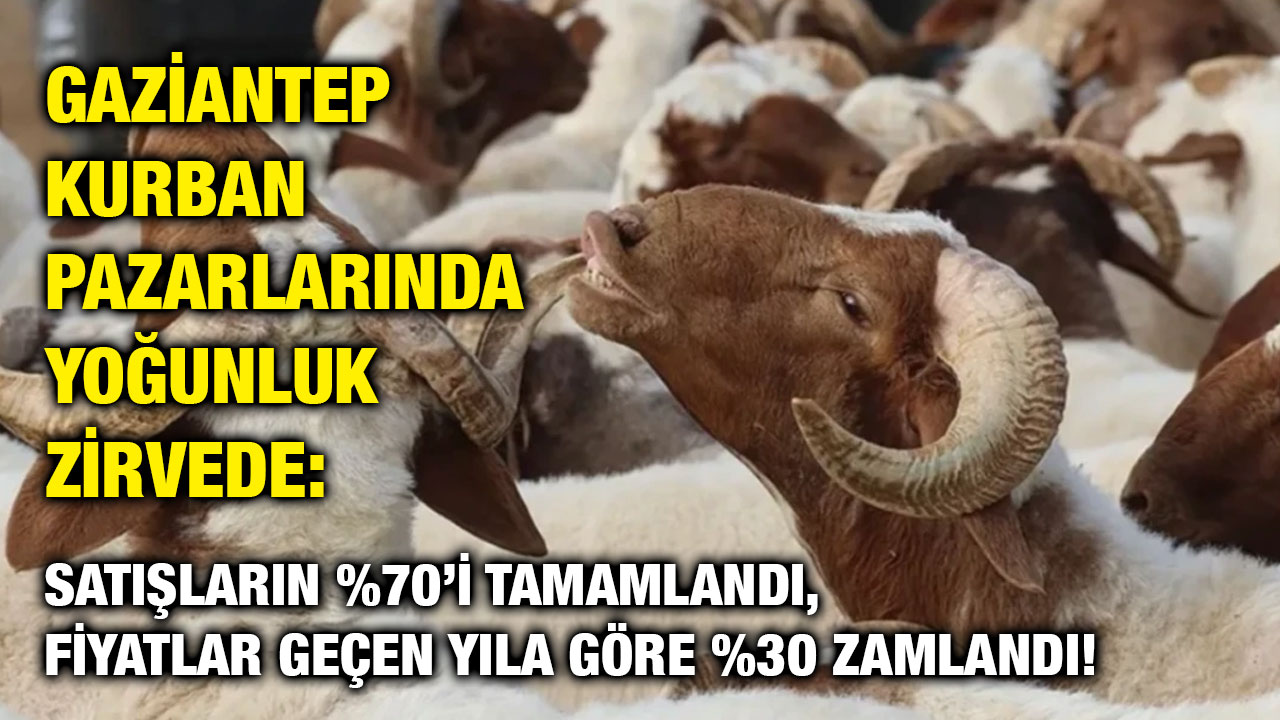 Gaziantep Kurban Pazarlarında Yoğunluk Zirvede: Fiyatlar Geçen Yıla Göre %30 Zamlandı!