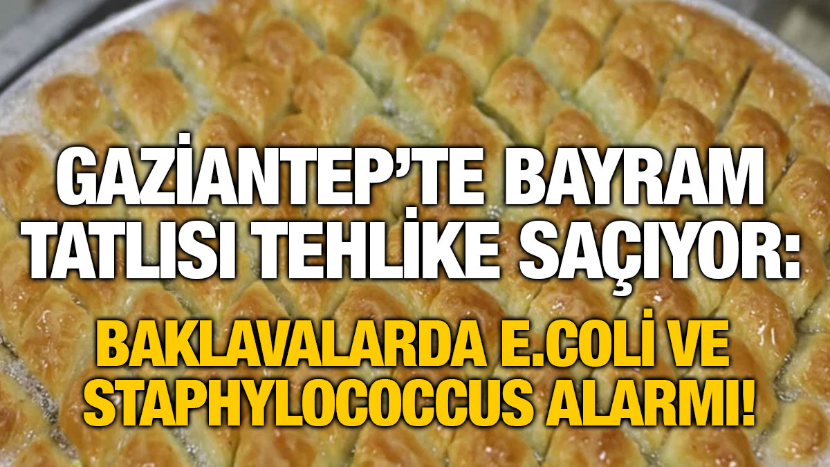 Gaziantep’te Bayram Tatlısı Tehlike Saçıyor: Baklavalarda E.coli ve Staphylococcus Alarmı!