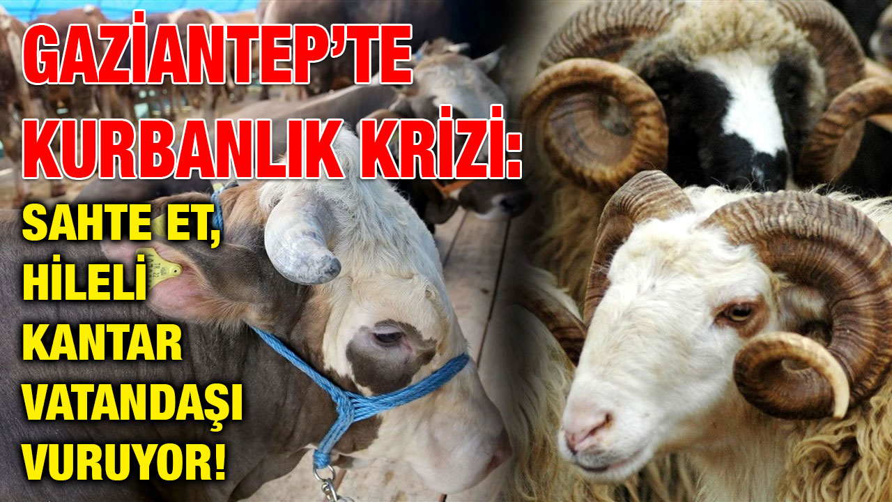 Gaziantep’te Kurbanlık Krizi: Sahte Et, Hileli Kantar Vatandaşı Vuruyor!