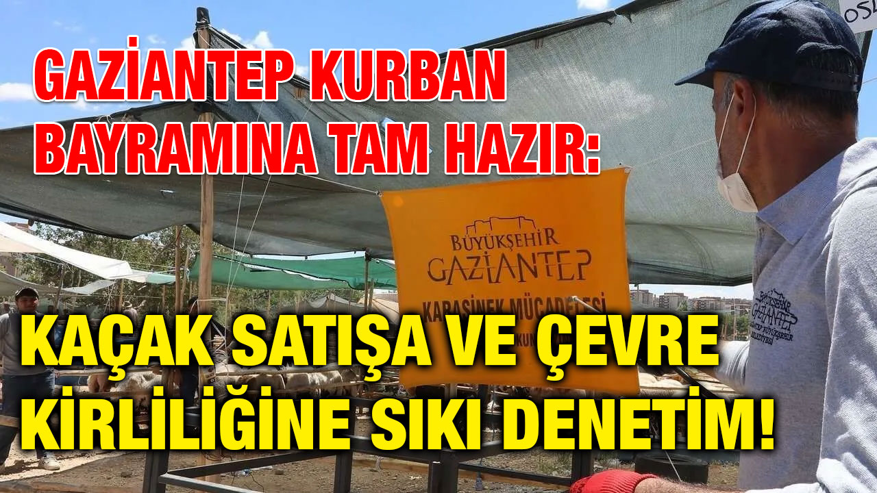 Gaziantep Kurban Bayramına Tam Hazır: Kaçak Satışa ve Çevre Kirliliğine Sıkı Denetim!