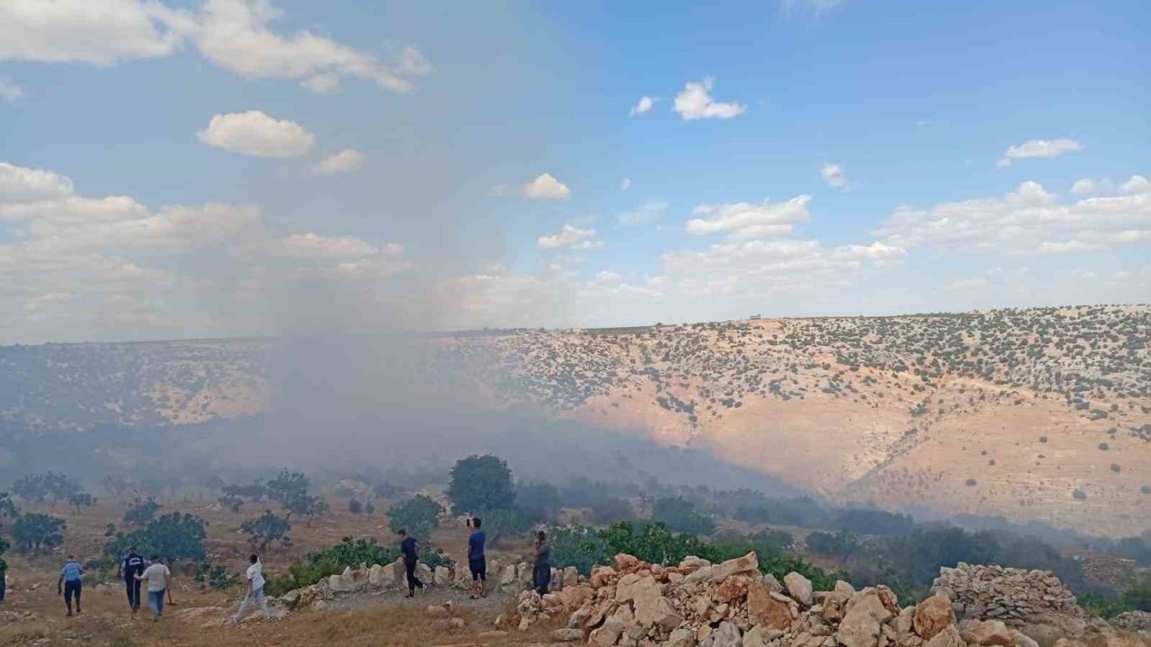 Gaziantep’te fıstık ve zeytin bahçelerinde yangın! Yüzlerce Ağaç Kül Oldu