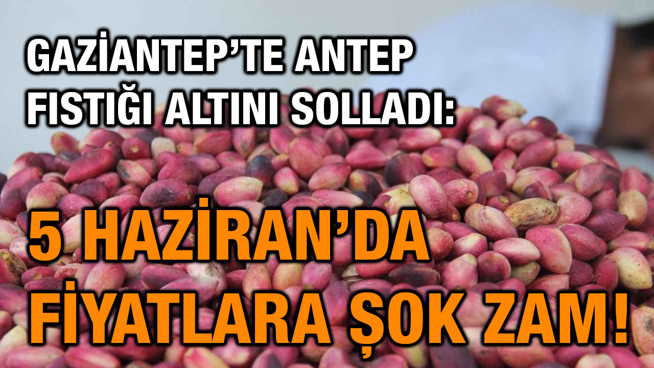 Gaziantep’te Fıstık Altınla Yarışıyor: 5 Haziran 2025 Hâl Fiyatlarına Zam Şoku!