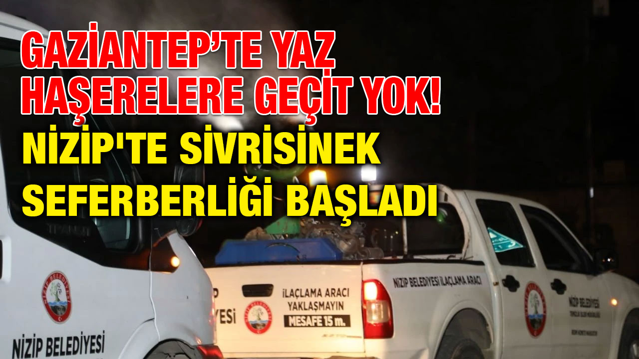 Gaziantep’te Yaz Haşerelere Geçit Yok! Nizip'te Sivrisinek Seferberliği Başladı