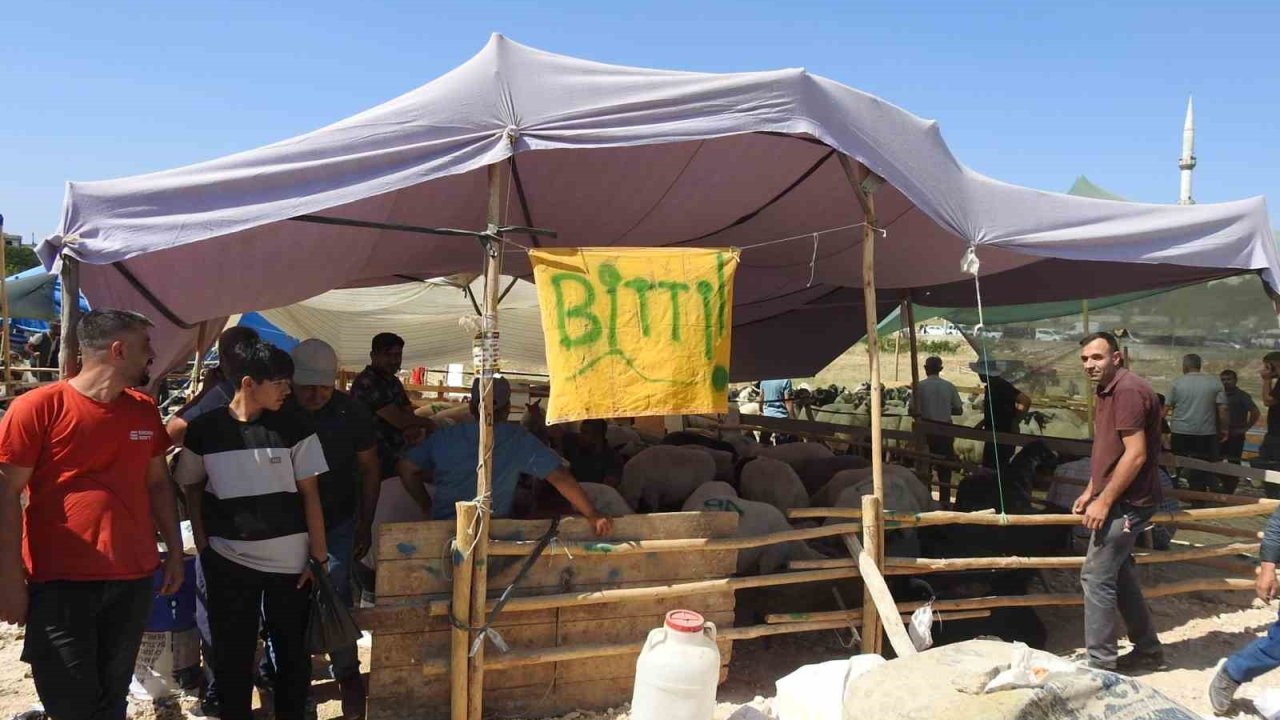 Gaziantep'te Kurban Bayramı’nın ilk günü hayvan pazarları dolup taştı