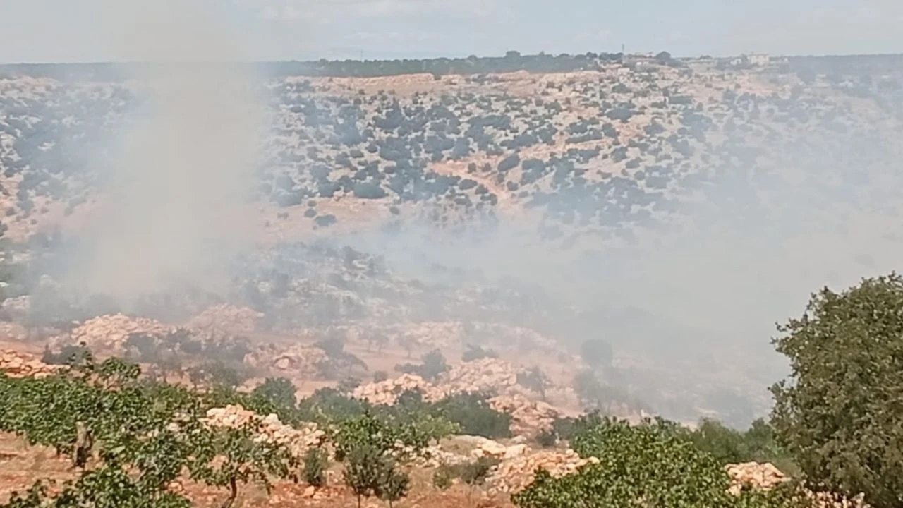 Gaziantep Nizip'te Fıstık ve Zeytin Bahçeleri Alevlere Teslim! Üretici Şokta