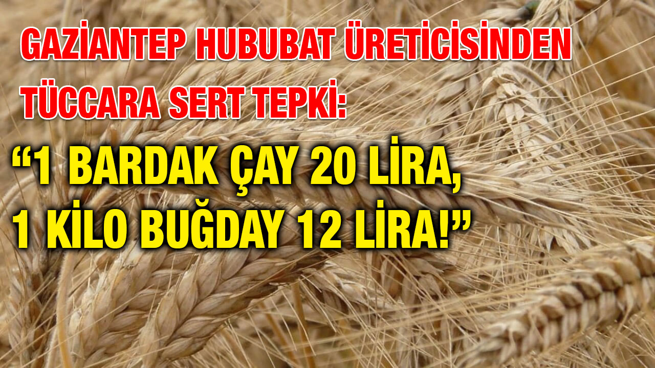 Gaziantep Hububat Üreticisinden Tüccara Sert Tepki: “1 Bardak Çay 20 Lira, 1 Kilo Buğday 12 Lira!”