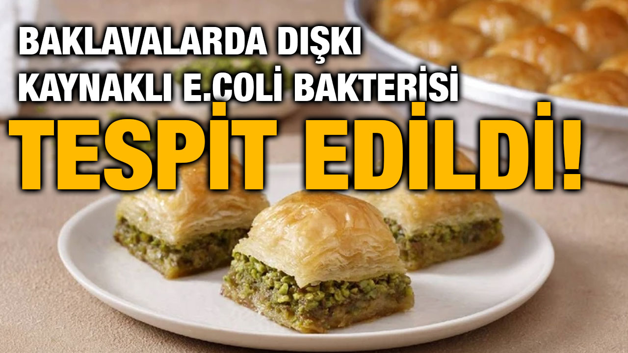 Baklavalarda Dışkı Kaynaklı E.coli Bakterisi Tespit Edildi!