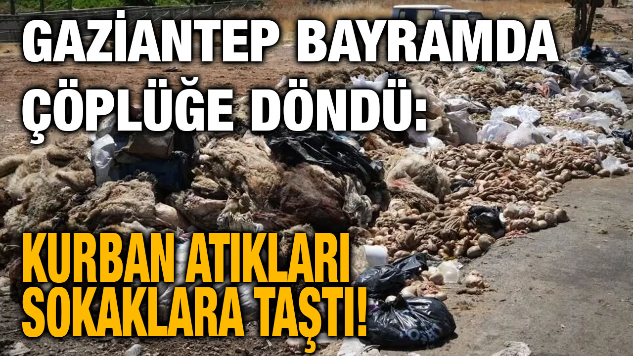 Gaziantep Bayramda Çöplüğe Döndü: Kurban Atıkları Sokaklara Taştı!
