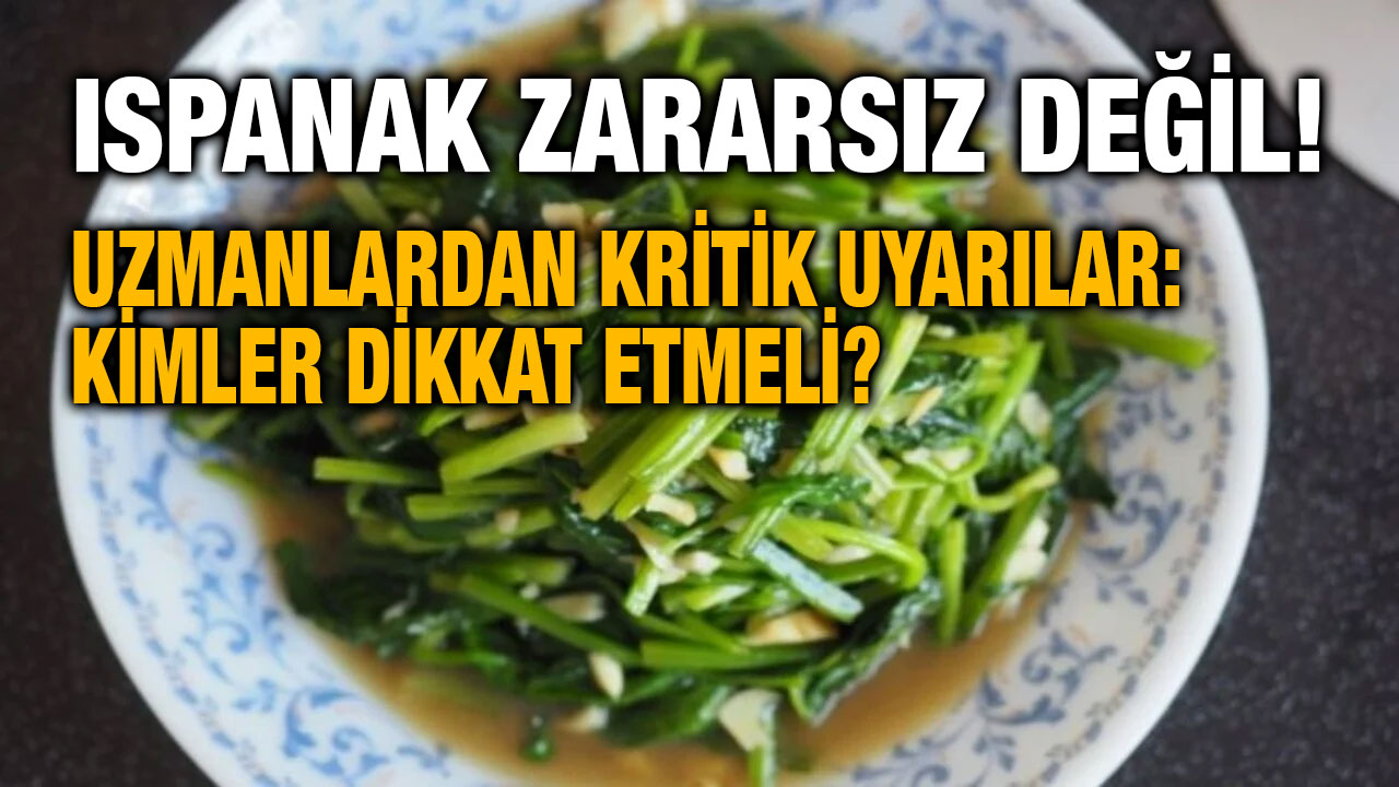 Ispanak Zararsız Değil! Uzmanlardan Kritik Uyarılar: Kimler Dikkat Etmeli?