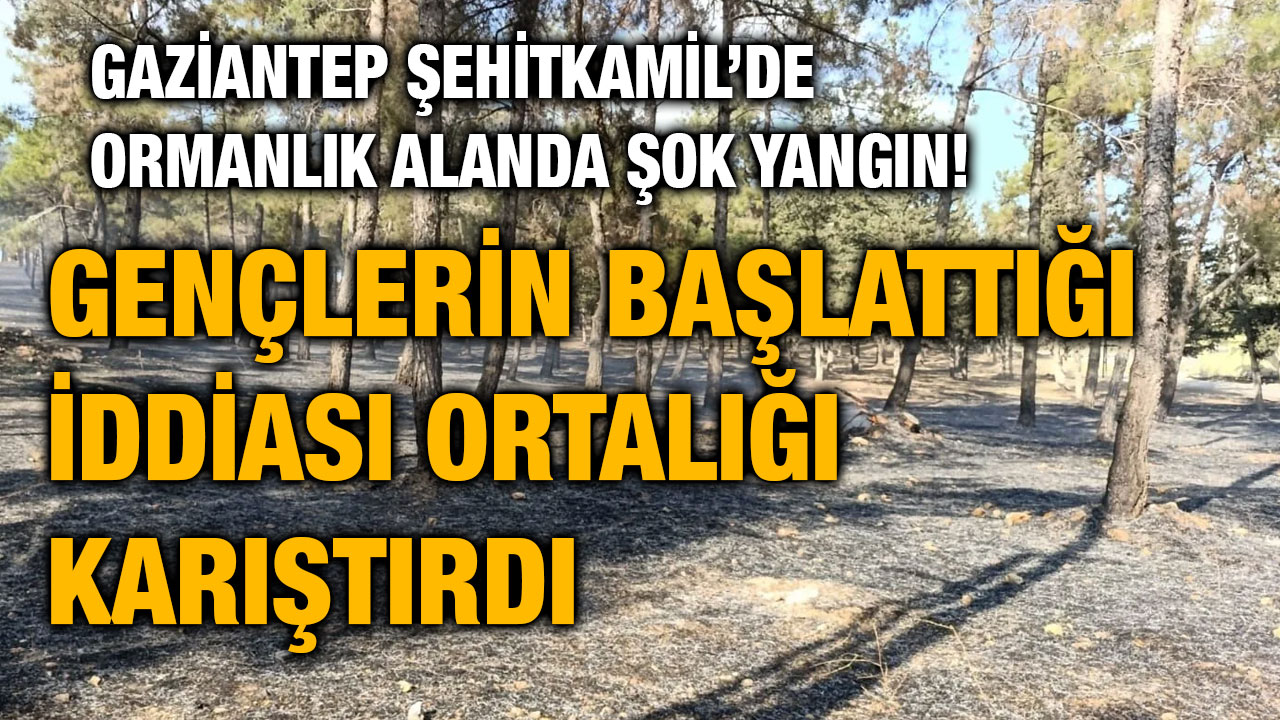 Gaziantep Şehitkamil’de Ormanlık Alanda Şok Yangın! Gençlerin Başlattığı İddiası Ortalığı Karıştırdı