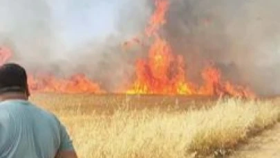Gaziantep'te Alevler 50 Dönüm Buğdayı Kül Etti!