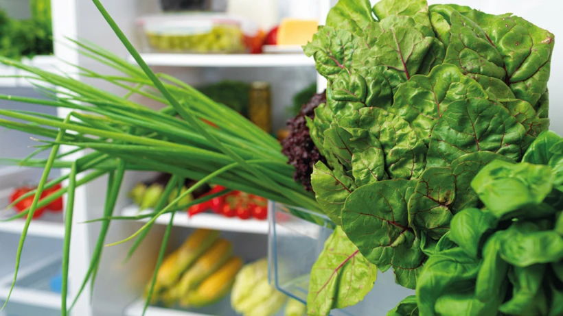 Yeşilliklerde Devrim: Evde 50 Güne Kadar Tazeliği Korumanın En Etkili Yöntemleri