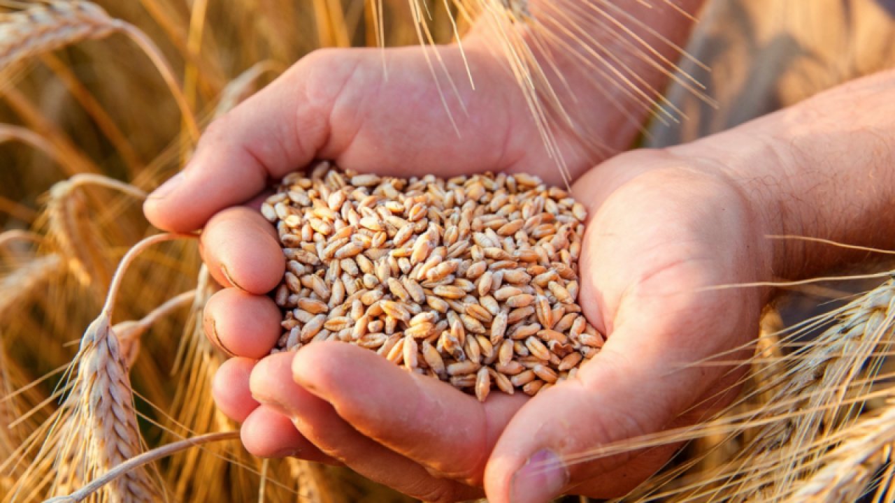 Gaziantep Ticaret Borsası 10 Haziran 2025 Salon Satış Fiyatları Açıklandı