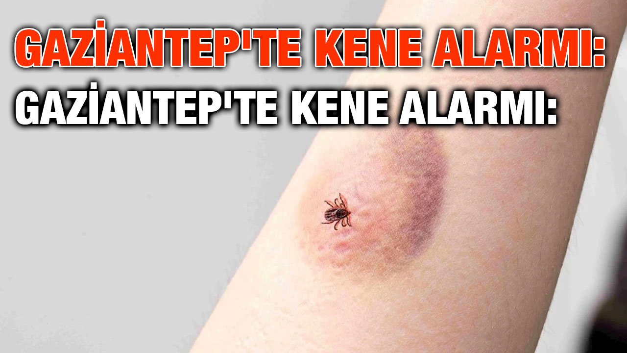 Gaziantep'te Kene Alarmı: KKKA Tehdidi Büyüyor, Bahar Sessiz Tehlikeyi Getirdi!