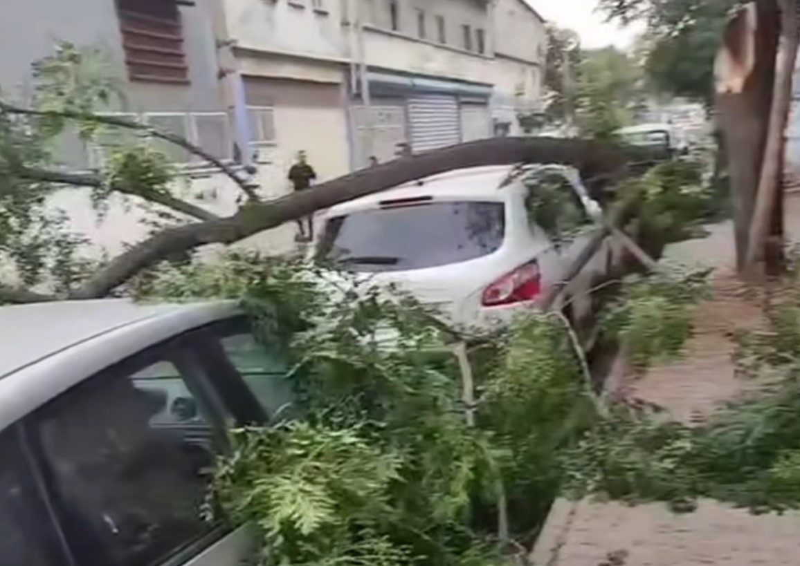 Gaziantep’te şiddetli fırtına yıktı geçti! Ağaçlar devrildi, araçlar zarar gördü