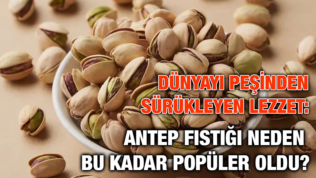 Dünyayı Peşinden Sürükleyen Lezzet: Antep Fıstığı Neden Bu Kadar Popüler Oldu?