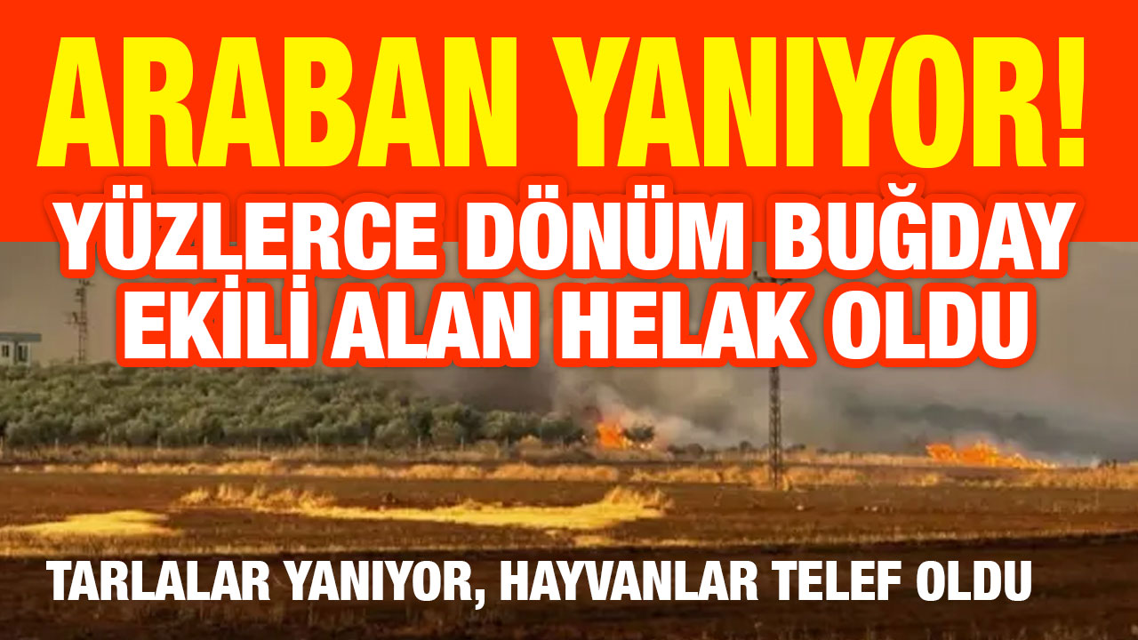 "Araban Yanıyor!" Buğday Tarlaları Alev Alev