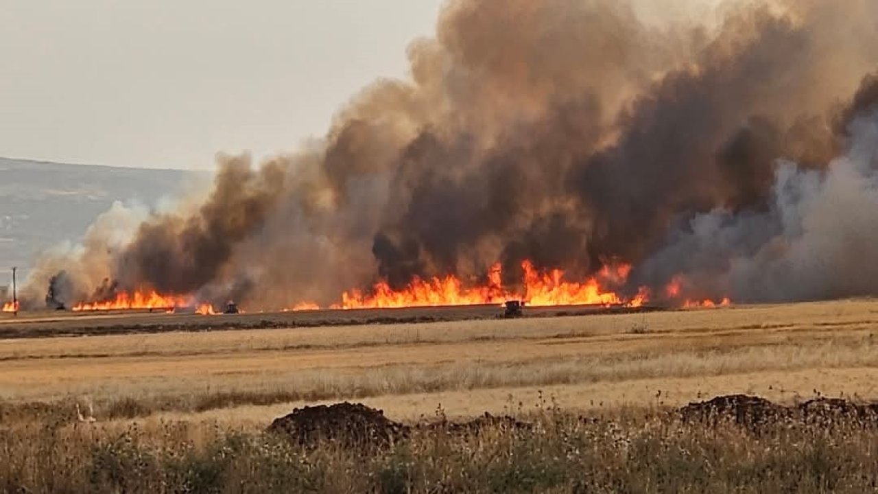 Gaziantep'te Büyük Yangın! 2 bin dönüm ekili alan kül oldu