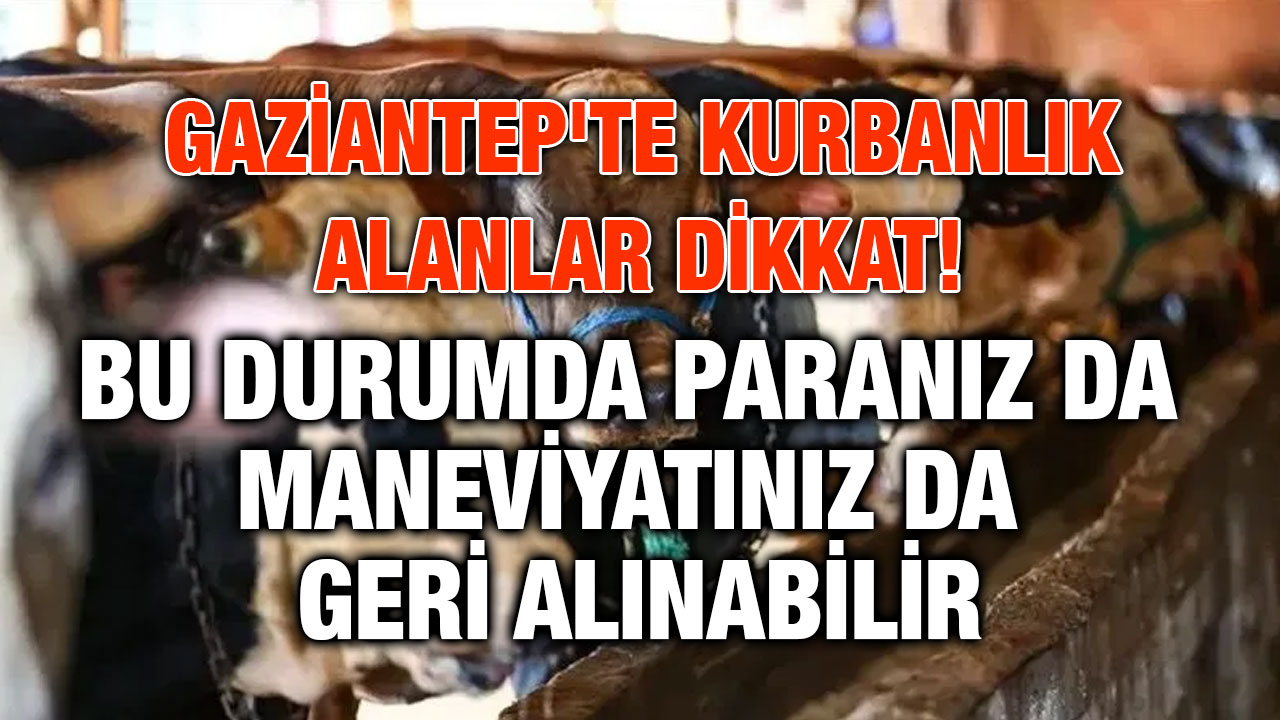 Gaziantep'te Kurbanlık Alanlar Dikkat! Bu Durumda Paranız da Maneviyatınız da Geri Alınabilir