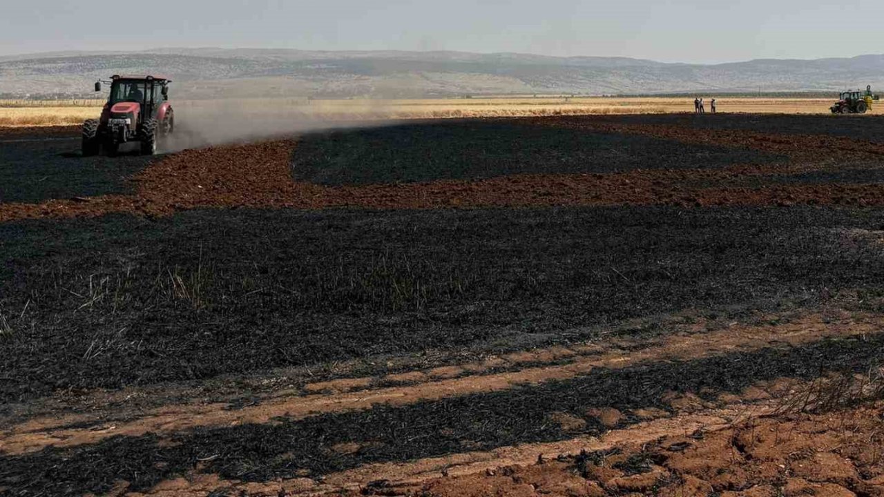 Gaziantep'te 15 dönüm buğday ekili alan daha yandı