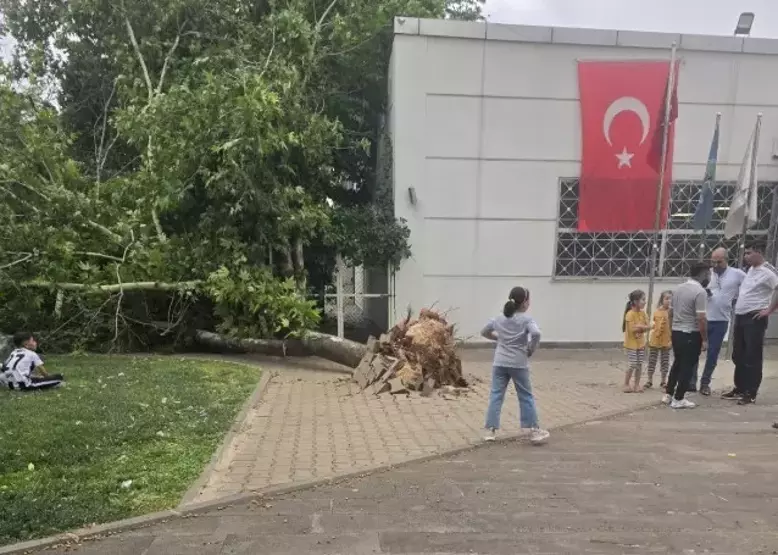 Gaziantep’te Haziran Kabusu! Fırtına Şehri Vurdu: Ağaçlar Devrildi, Toz Bulutu Gökleri Kapladı