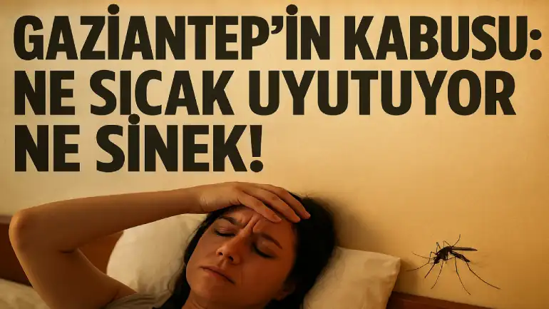 Gaziantep’te Ne Sıcak Uyutuyor Ne Sinek!