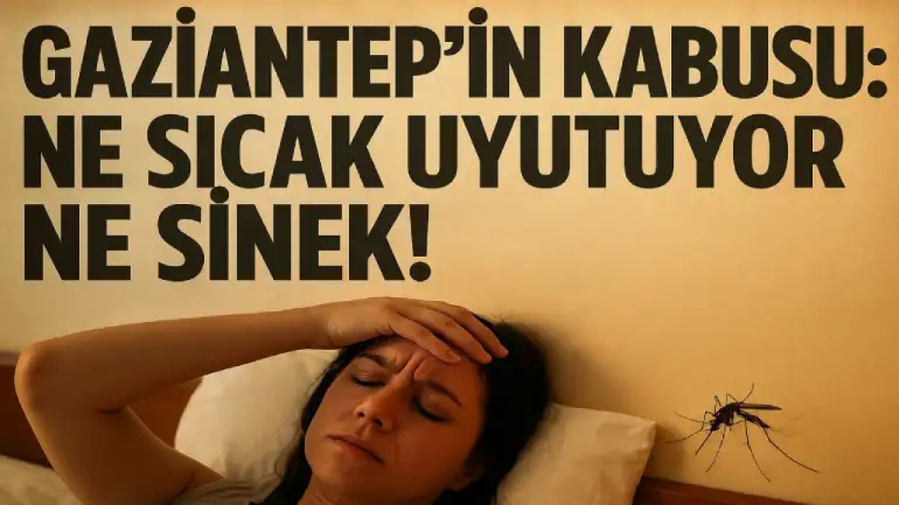 Gaziantep’te Ne Sıcak Uyutuyor Ne Sinek!