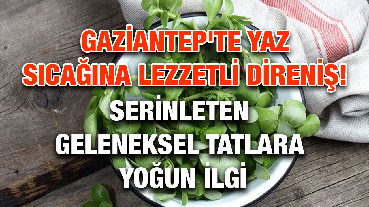 Gaziantep'te Yaz Sıcağına Lezzetli Direniş! Serinleten Geleneksel Tatlara Yoğun İlgi