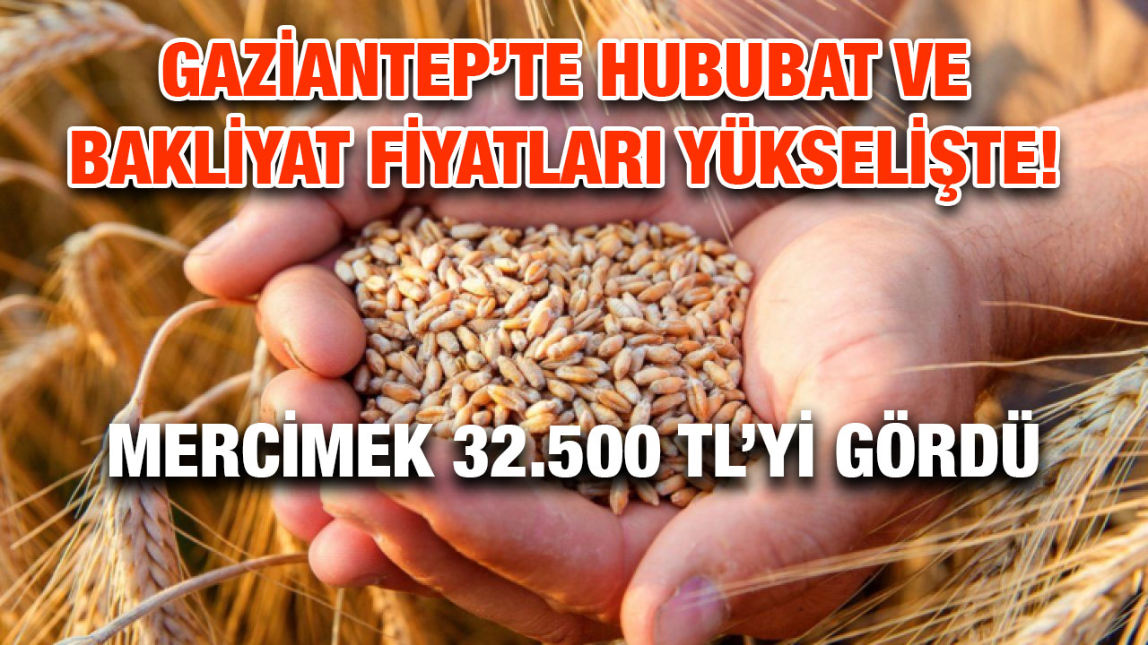 Gaziantep’te Hububat ve Bakliyat Fiyatları Yükselişte! Mercimek 32.500 TL’yi Gördü