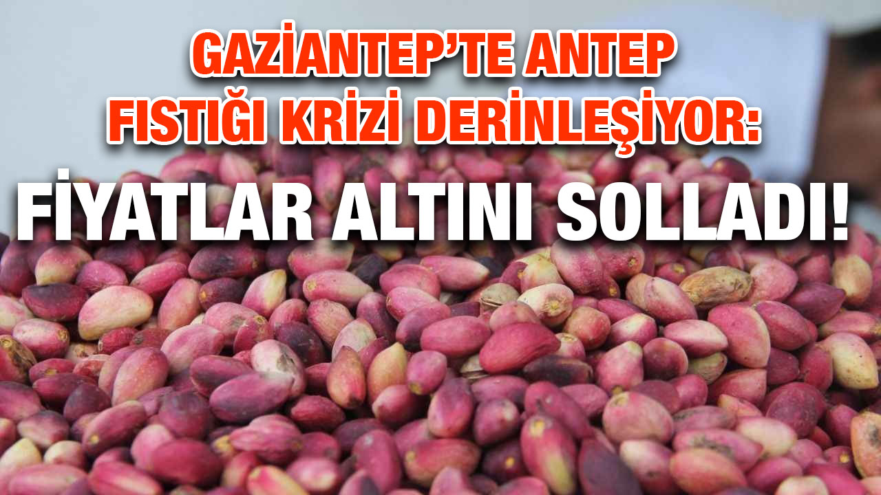 Gaziantep’te Antep Fıstığı Krizi Derinleşiyor: Fiyatlar Altını Solladı!