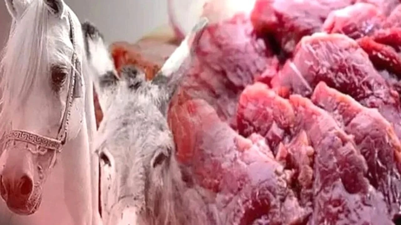 Gaziantep’te At ve Eşek Eti Tartışması Büyüyor: Gastronomi Başkentinde İtibar Krizi!