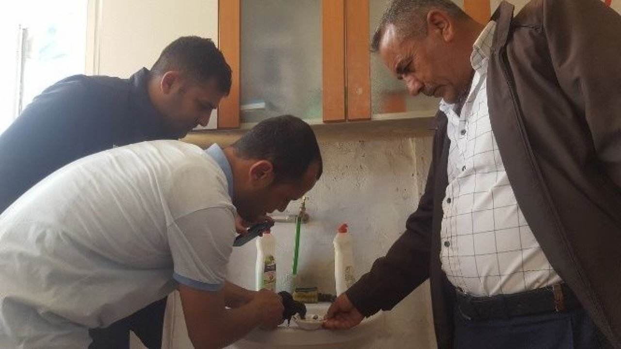 Caminin çatısında mahsur kalan Serçe'yi vatandaşlar kurtardı