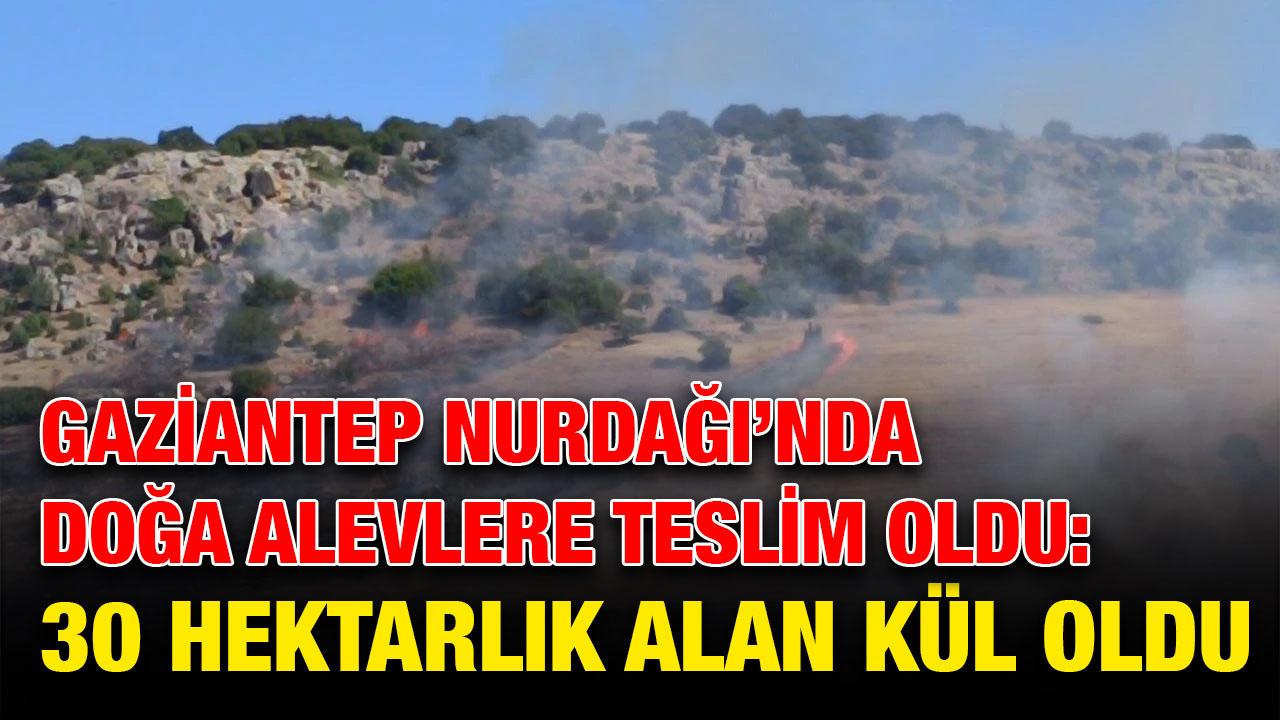 Gaziantep Nurdağı’nda Doğa Alevlere Teslim Oldu: 30 Hektarlık Alan Kül Oldu
