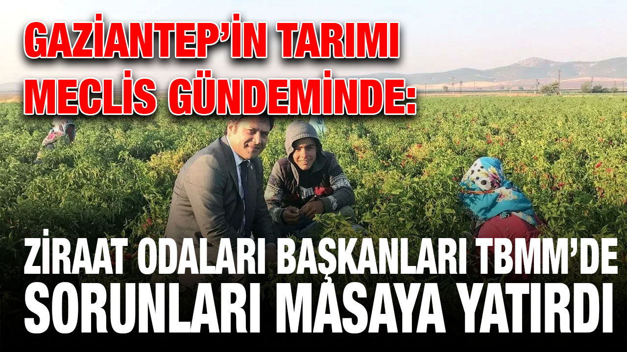Gaziantep’in Tarımı Meclis Gündeminde: Ziraat Odaları Başkanları TBMM’de Sorunları Masaya Yatırdı