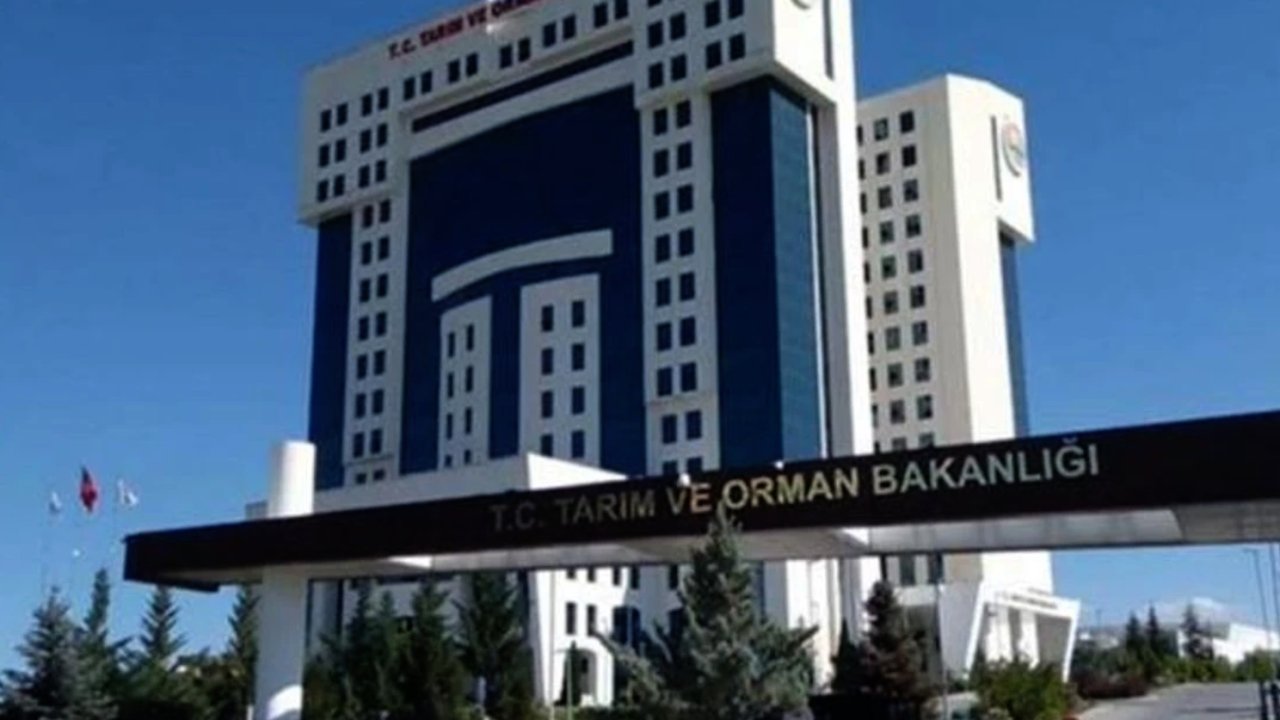 Gaziantep’te Gıda Skandalı! İşte Gaziantep'i Zehirleyen O Firmalar