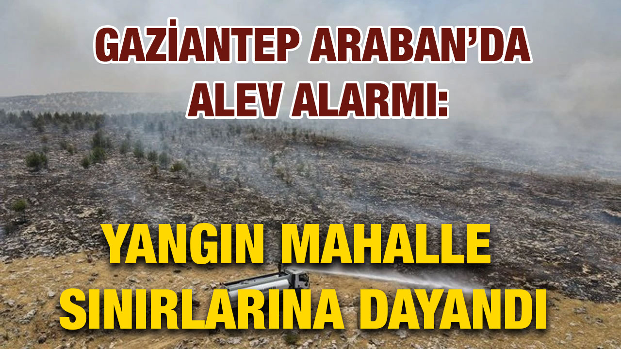 Gaziantep Araban’da Alev Alarmı: Yangın Mahalle Sınırlarına Dayandı