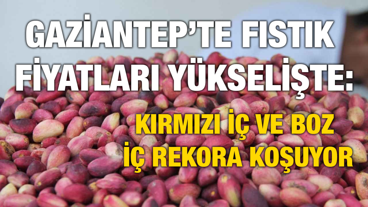 Gaziantep’te Fıstık Fiyatları Yükselişte: Kırmızı İç ve Boz İç Rekora Koşuyor