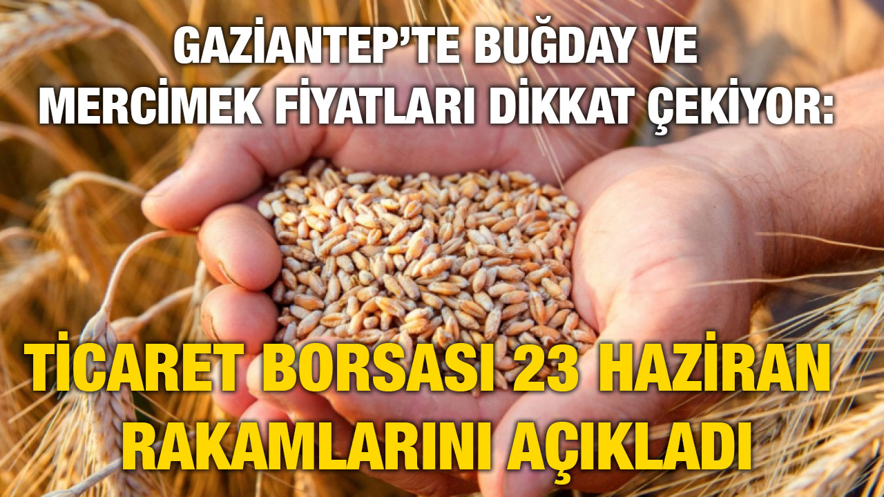 Gaziantep’te Buğday ve Mercimek Fiyatları Dikkat Çekiyor: Ticaret Borsası 23 Haziran Rakamlarını Açıkladı