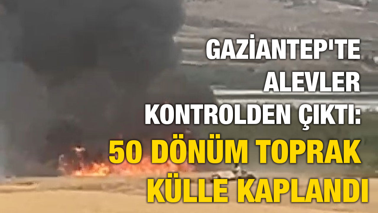 Gaziantep'te Alevler Kontrolden Çıktı: 50 Dönüm Toprak Külle Kaplandı