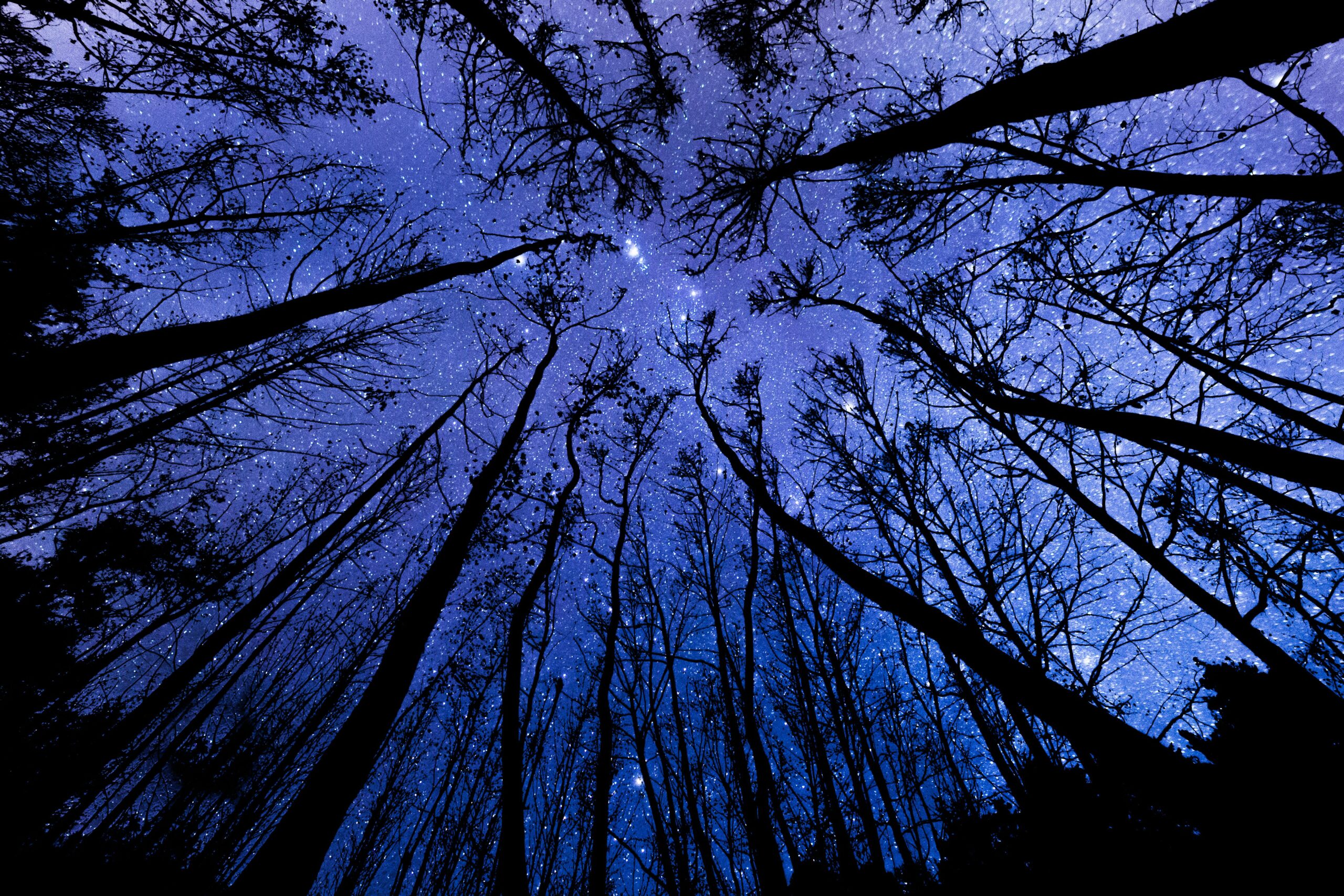 23 - 29 Haziran 2025 Haftalık Burç Yorumu: Koç ve Yükselen Koç