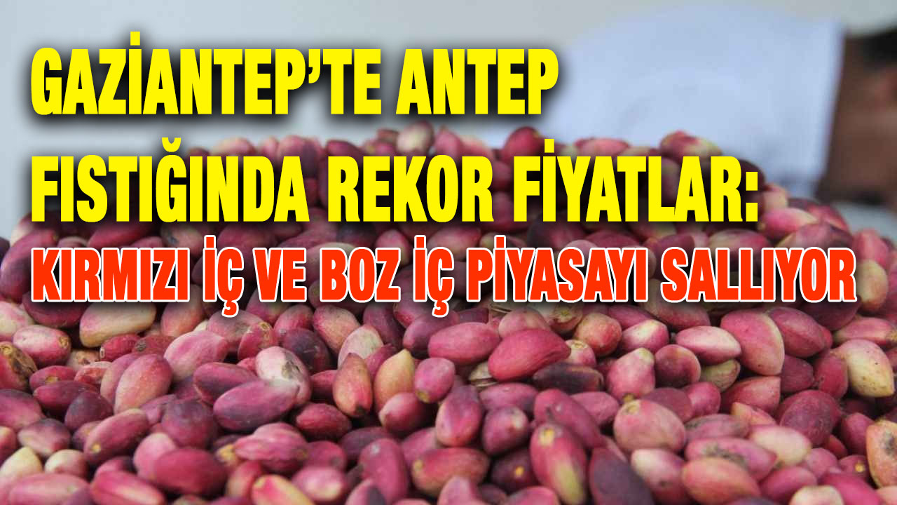 Gaziantep’te Antep Fıstığında Rekor Fiyatlar: Kırmızı İç ve Boz İç Piyasayı Sallıyor