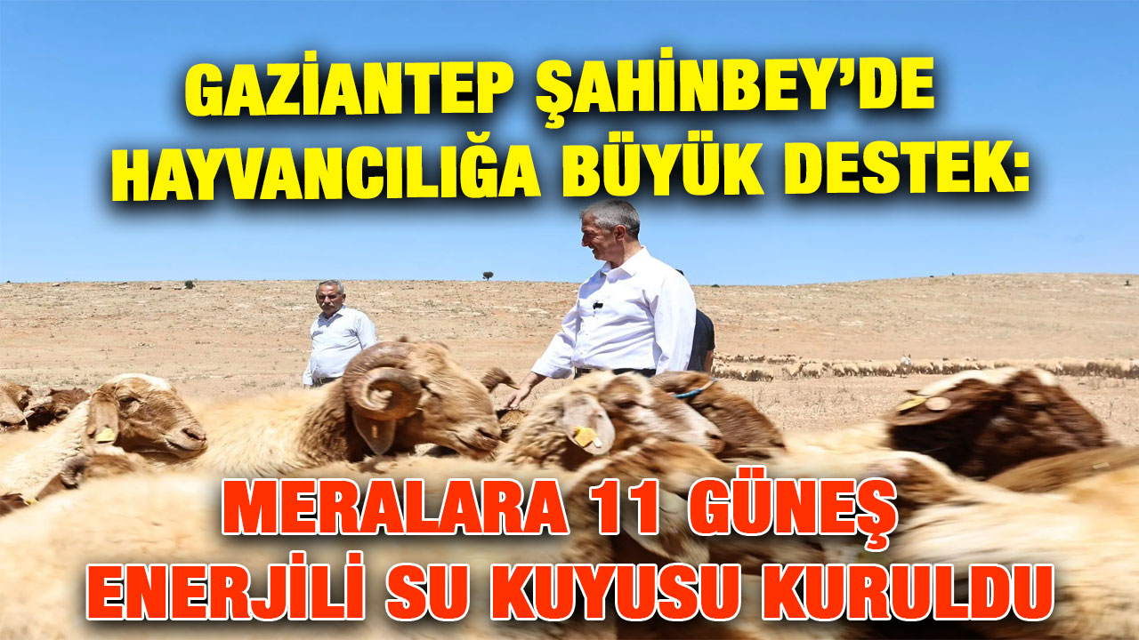 Gaziantep Şahinbey’de Hayvancılığa Büyük Destek: Meralara 11 Güneş Enerjili Su Kuyusu Kuruldu