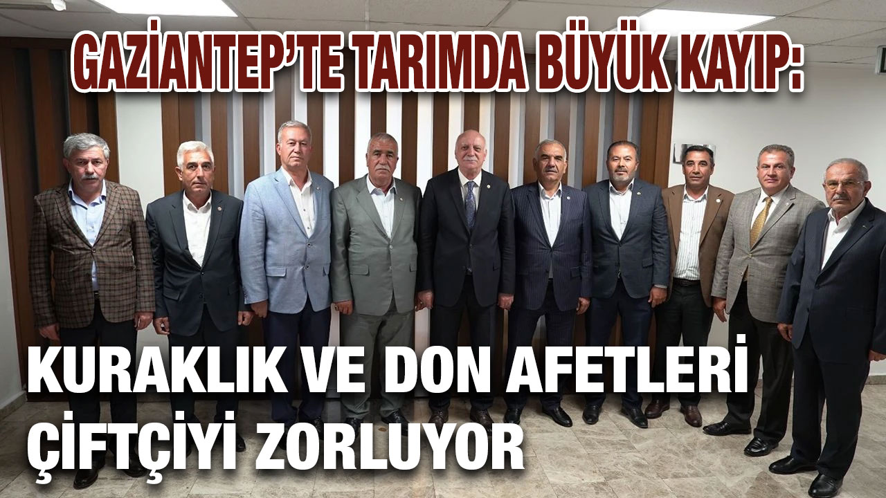 Gaziantep’te Tarımda Büyük Kayıp: Kuraklık ve Don Afetleri Çiftçiyi Zorluyor